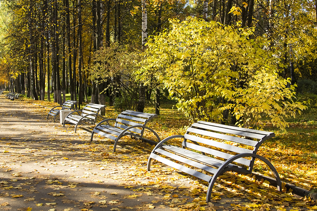 Скамейка в больничном парке.