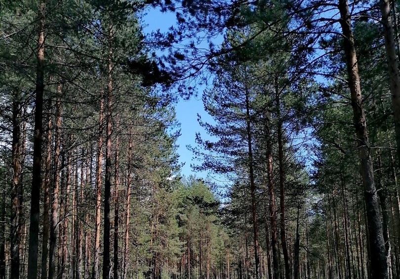    Фото Ульяны Бажановой Ульяна Бажанова