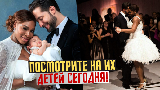 Звезды, получившие знаменитость за чужой счет. Часть 1 Smapse News: Образование 