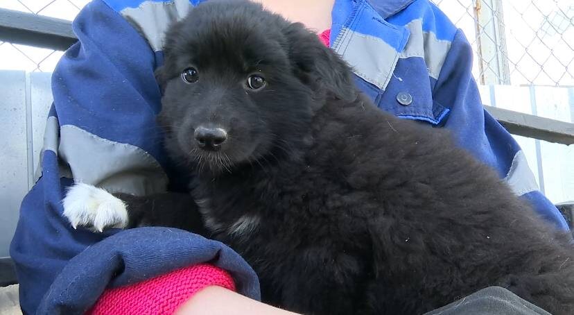 Фото: Белгород-медиа