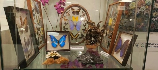    Фото: библиотека №174