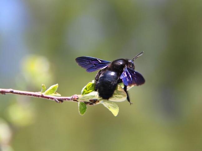 Фото: fotokto.ru