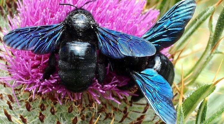 Фото: fotokto.ru