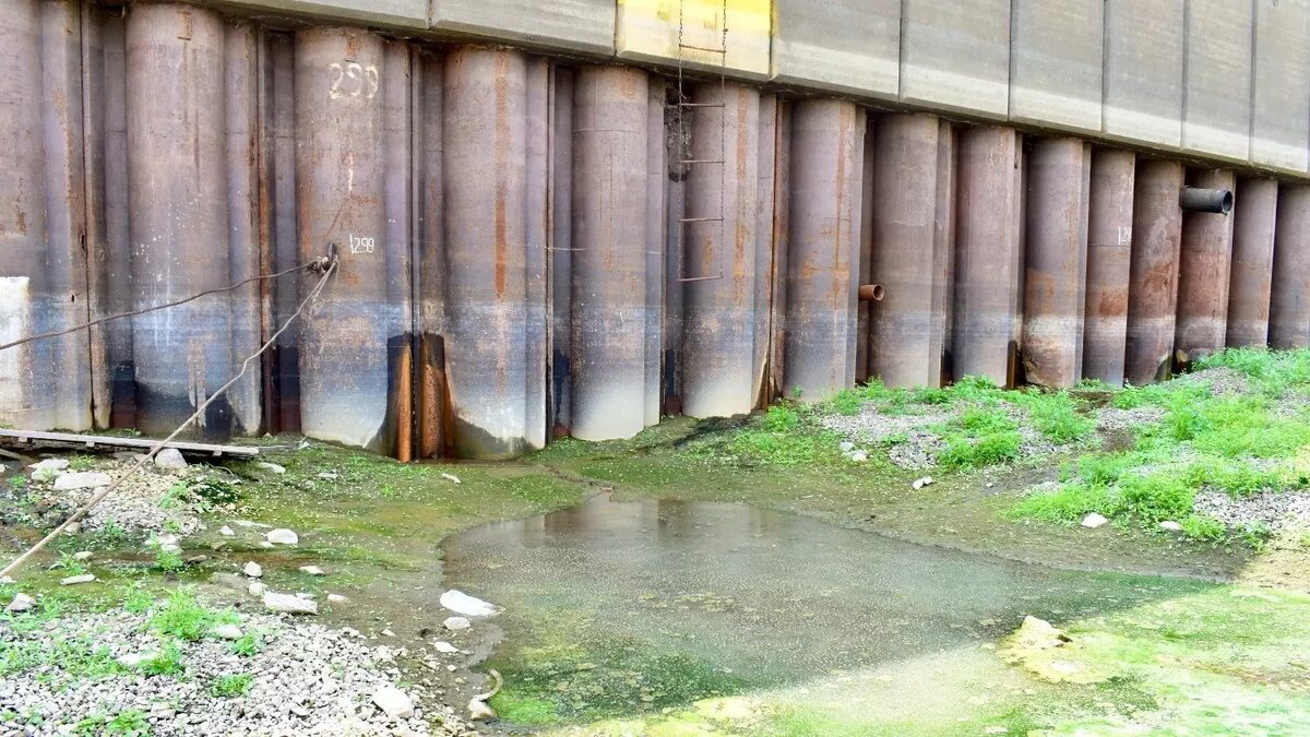     Источник: nashgorod.ru