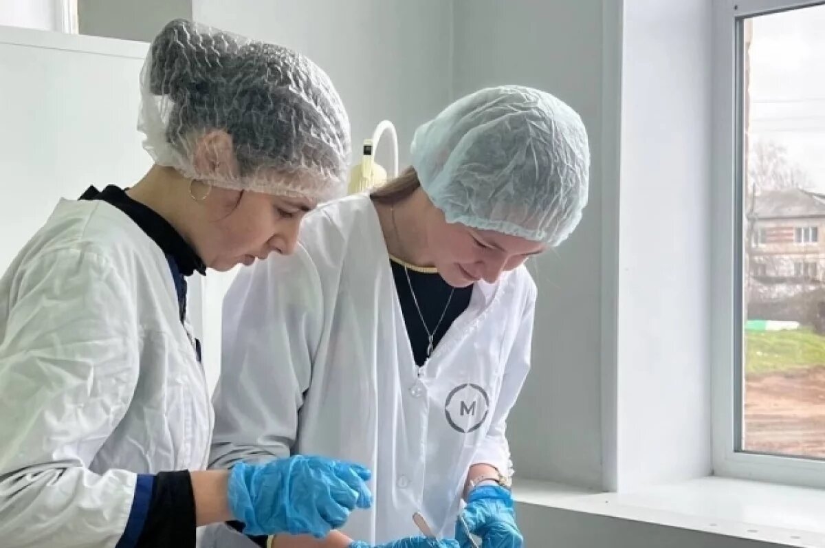    11 000 владимирских школьников участвуют в проекте «Билет в будущее»