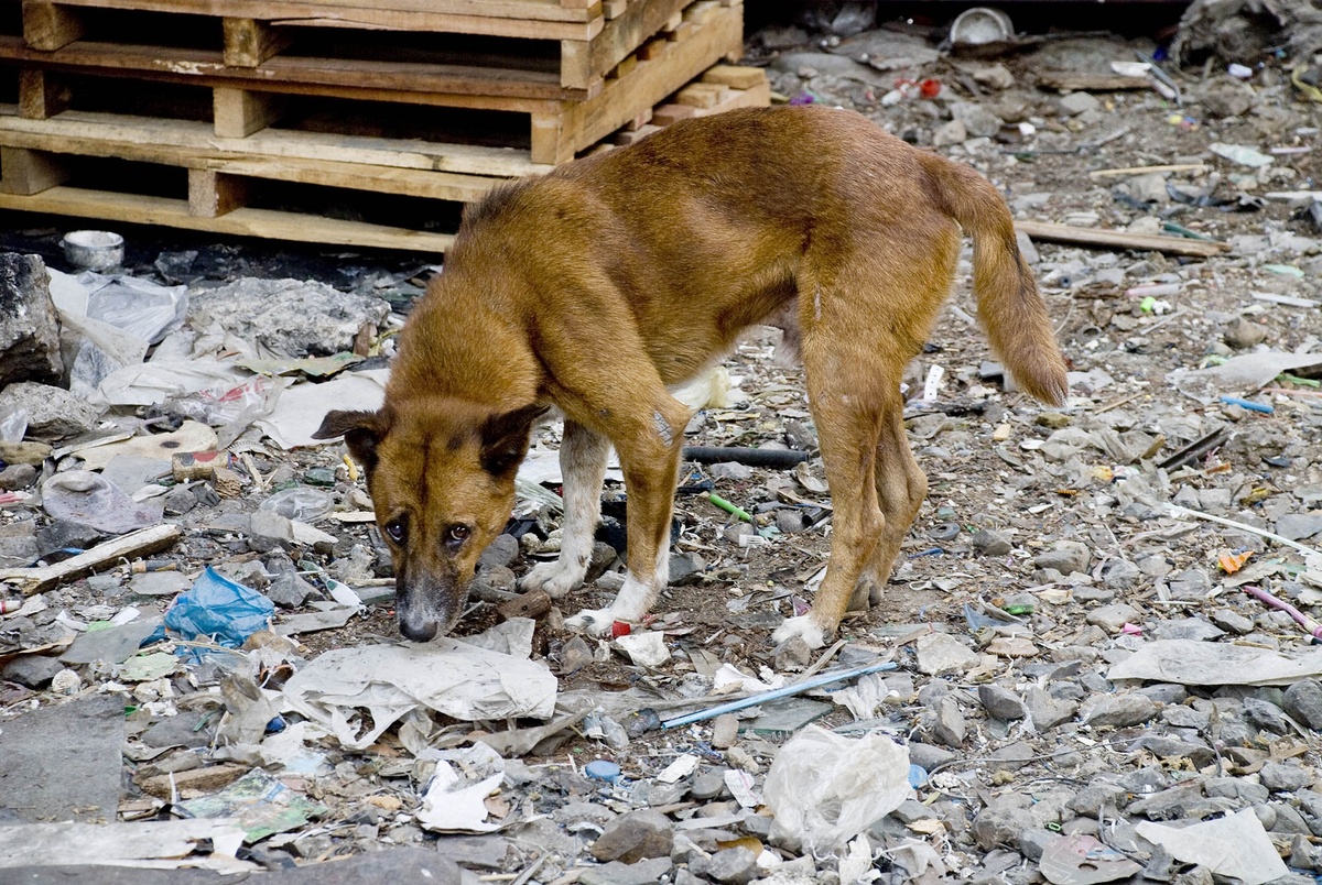 картинка из интернета