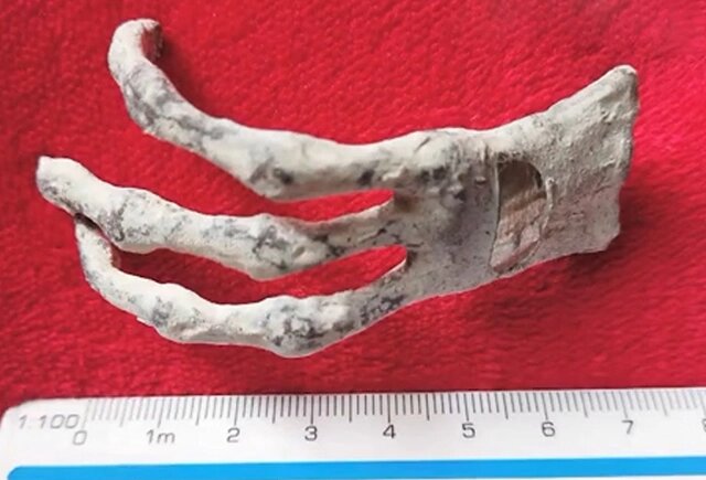   Кадр из видео