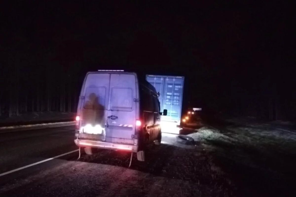    В Пряжинском районе водитель грузовика сбил насмерть двух мужчин