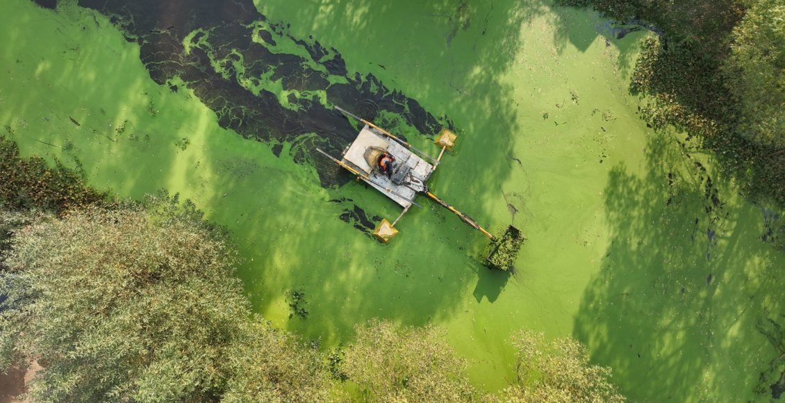    Фото: администрация городского округа Люберцы