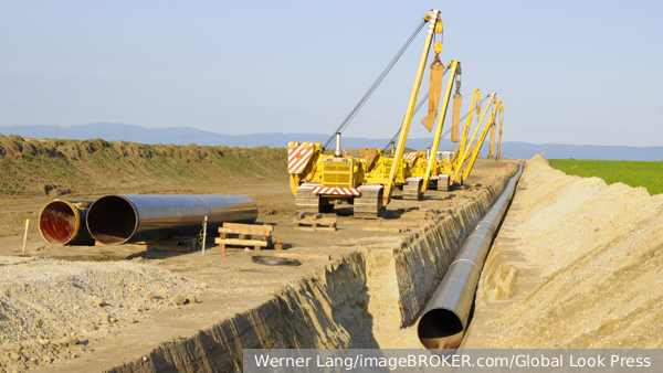     Фото: Werner Lang/imageBROKER.com/Global Look Press   
 Текст: Ольга Самофалова