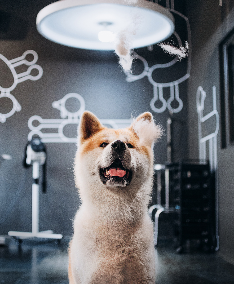 Стремительное развитие бизнеса