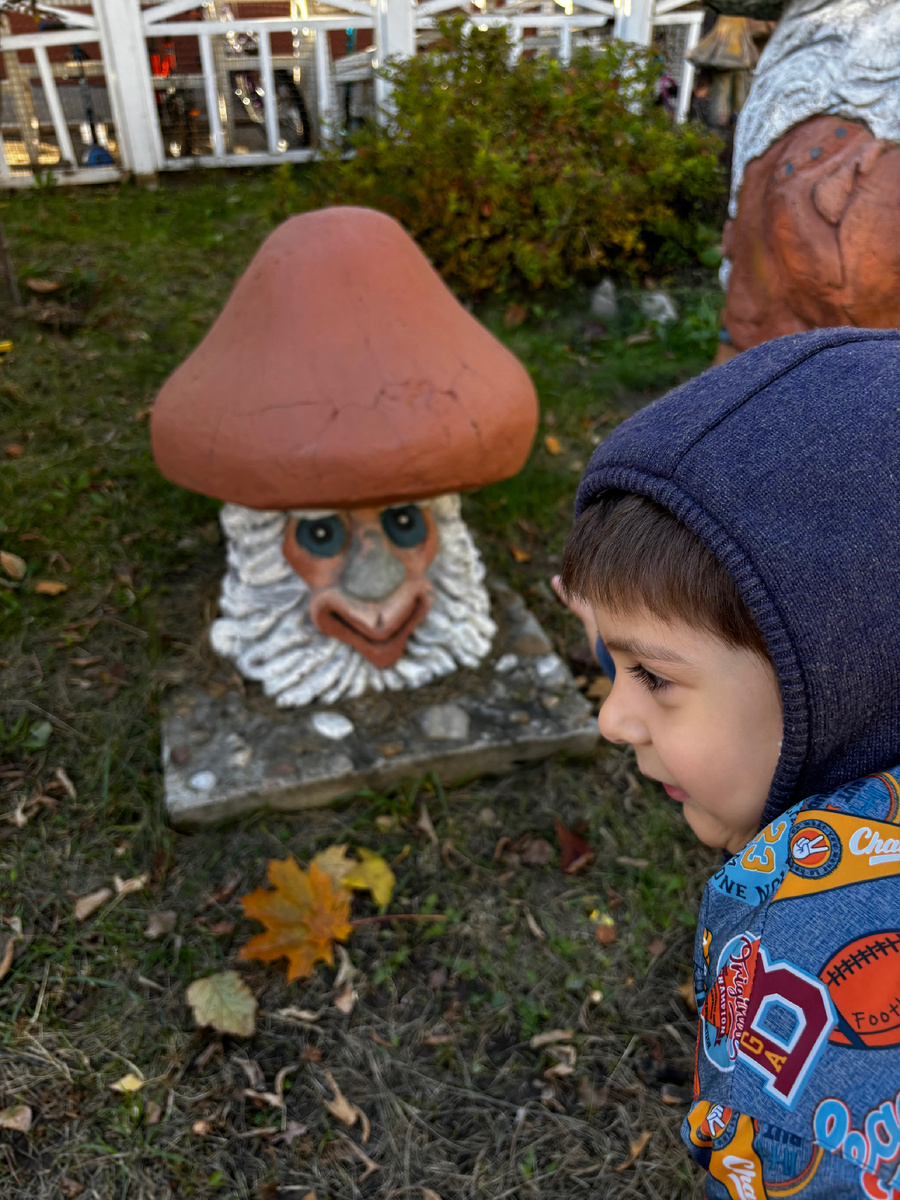 Все фото автора