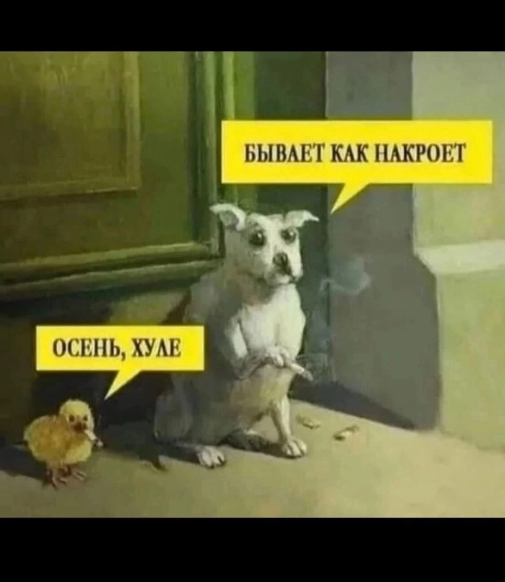 Фото из просторов интернета