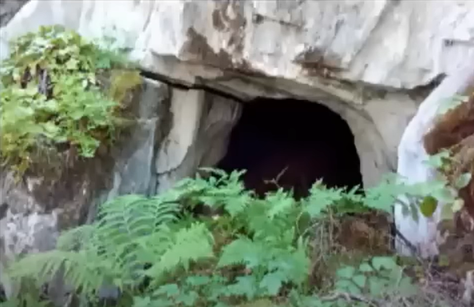 Изображение взято из открытого источника 