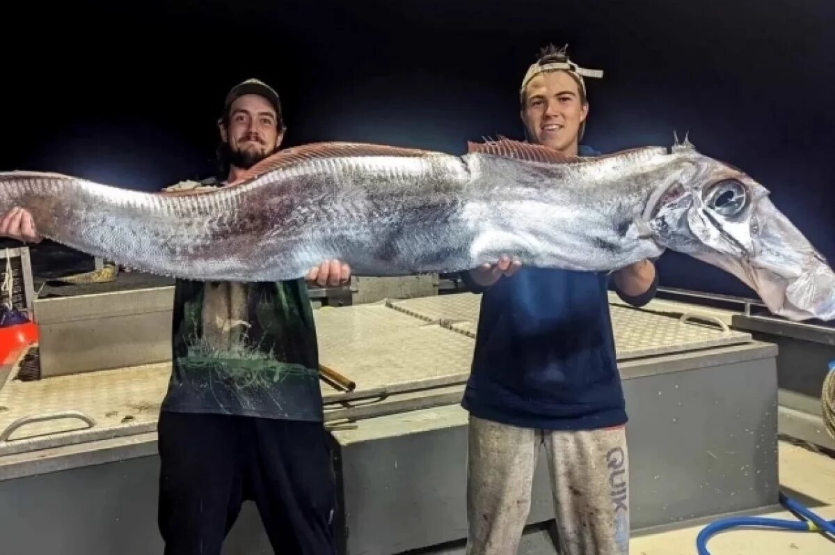   В Австралии поймали трехметровую рыбу, которая предвещает конец света