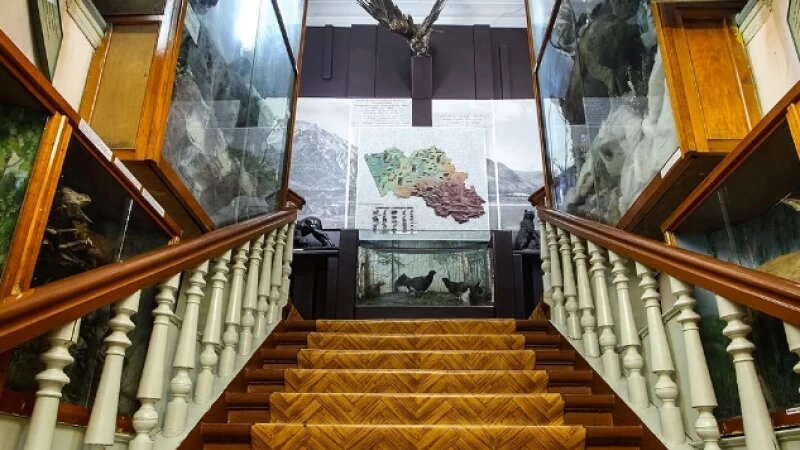     Алтайский краеведческмий музей myagkm.ru