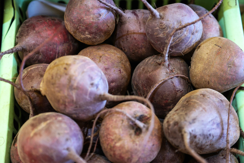    Блюда из свёклы, как и овощ в свежем виде, полезны по двум основным причинам - не зря корнеплод считают русским суперфудом. Фото: © Bulkin Sergey/news.ru/Globallookpress