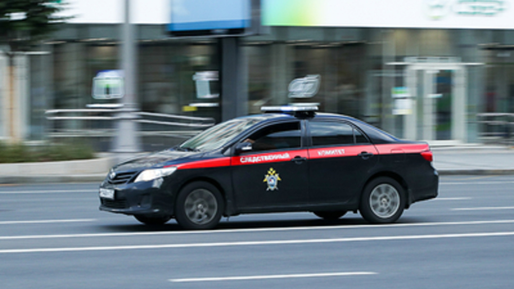    Фото: Bocharov Denis/Globallookpress