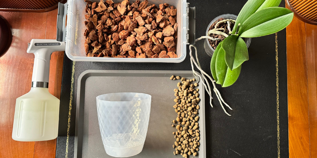 Как пересадить орхидею из магазина . Самый простой способ и легкий уход . Пошаговая инструкция .