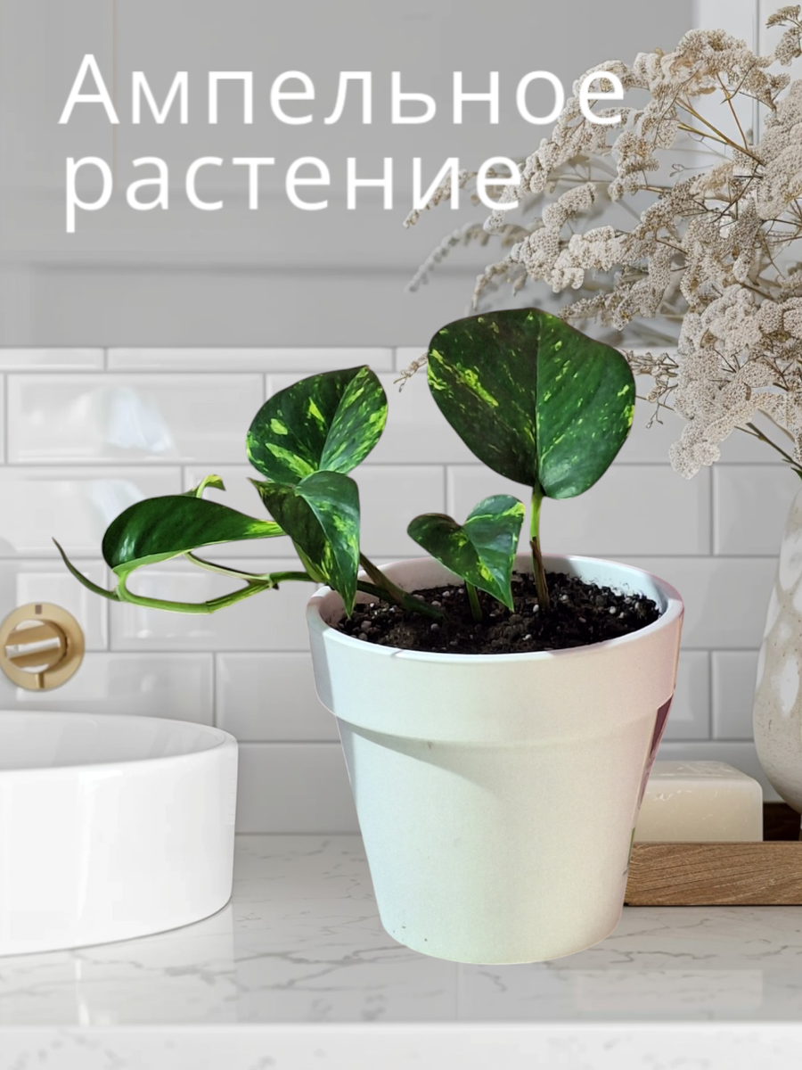 Фото автора и ИИ.