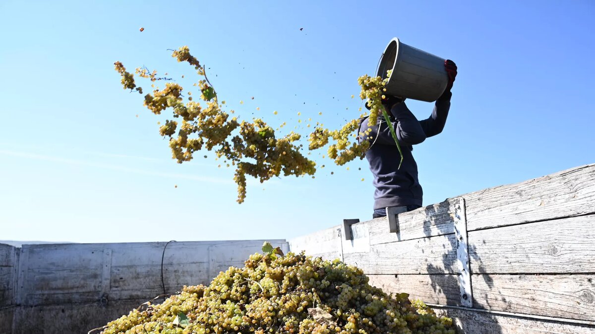 © photo: Sputnik / Stringer 