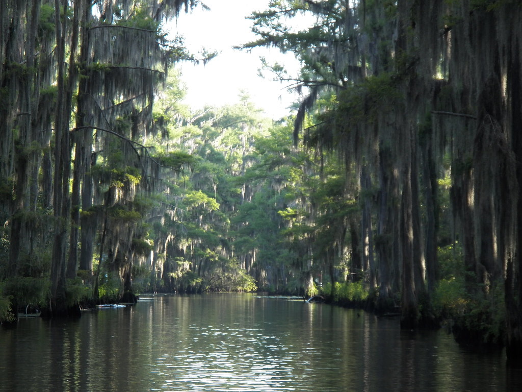 Озеро Каддо, США.