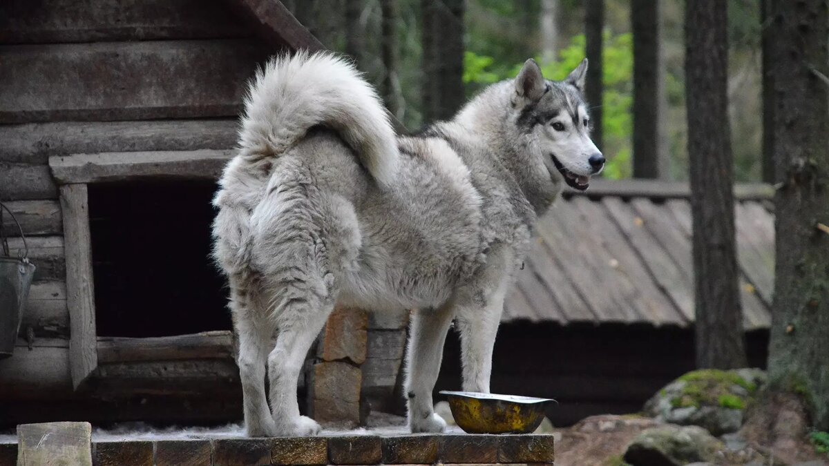     Источник: 1MI