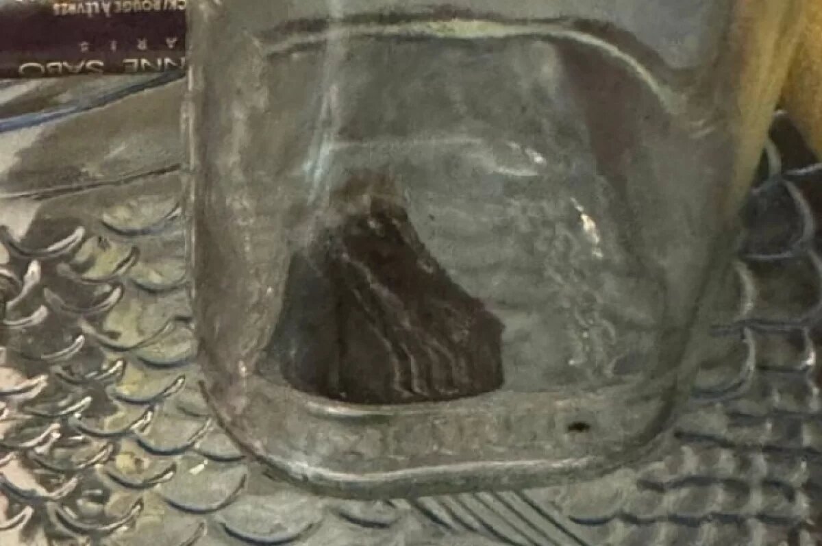    Контрабандист привез в Астрахань наркотики под одеждой, прикрепив к ноге