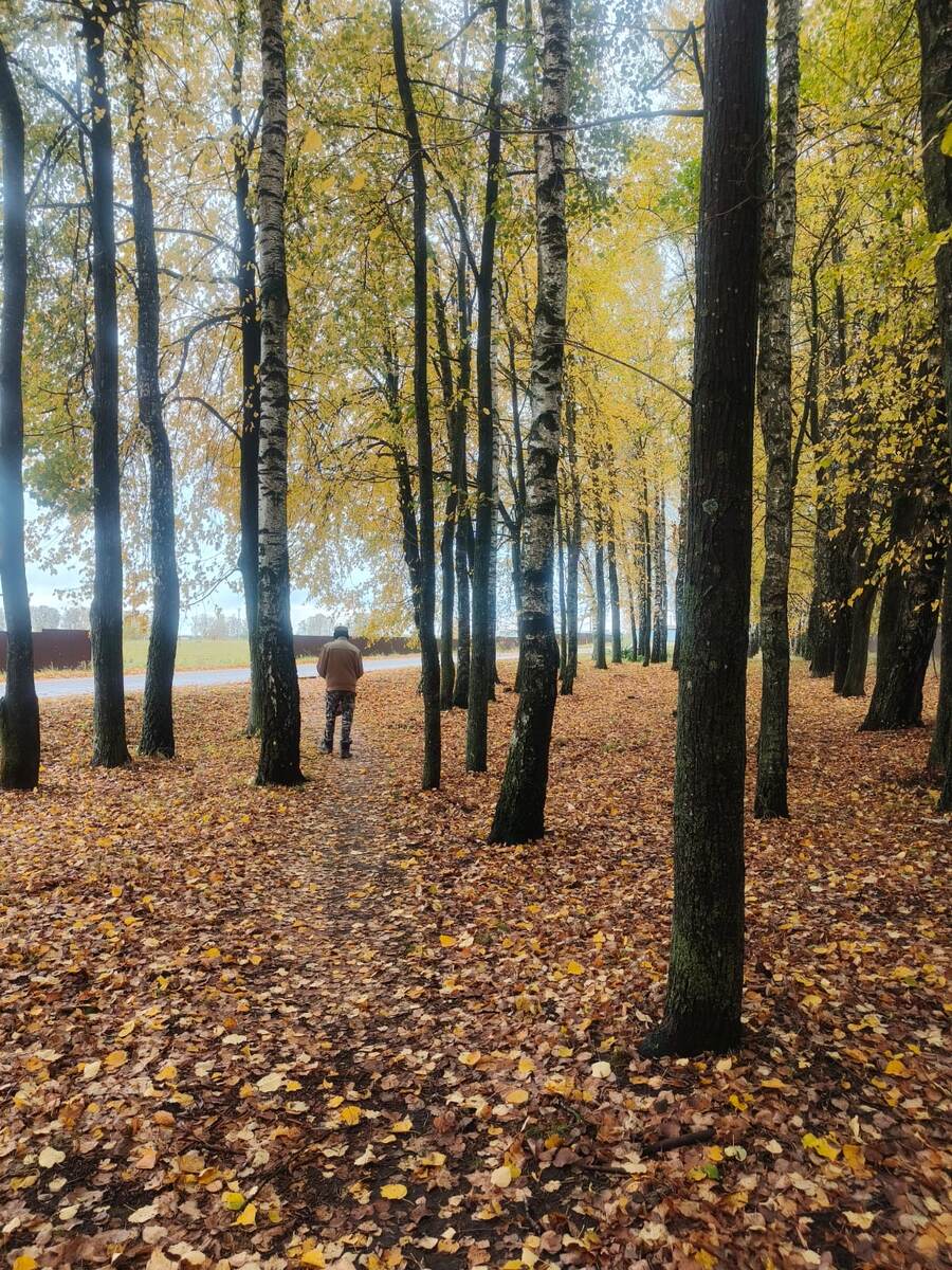 Фото Л. Комогорцевой