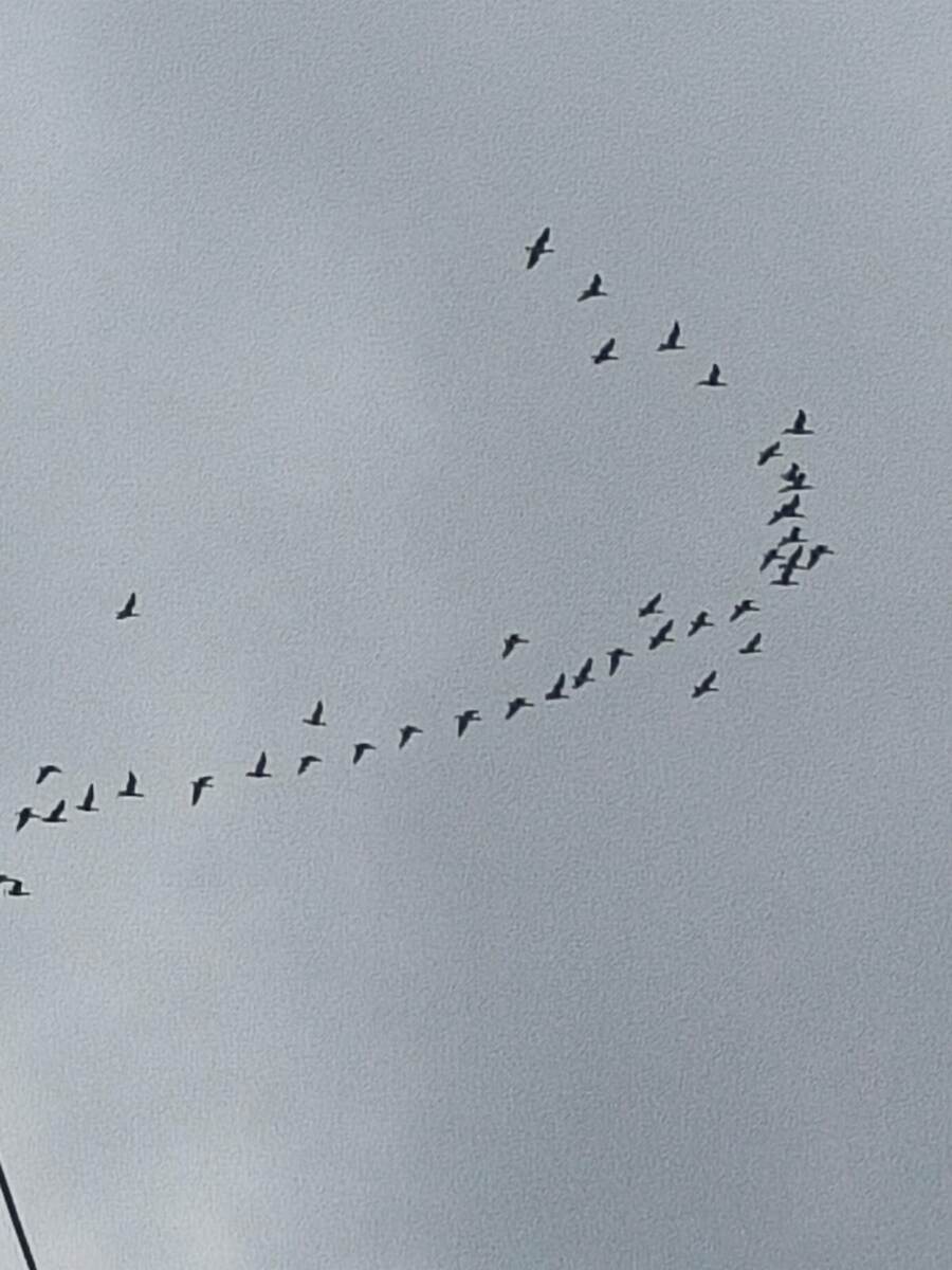 Фото Л. Комогорцевой