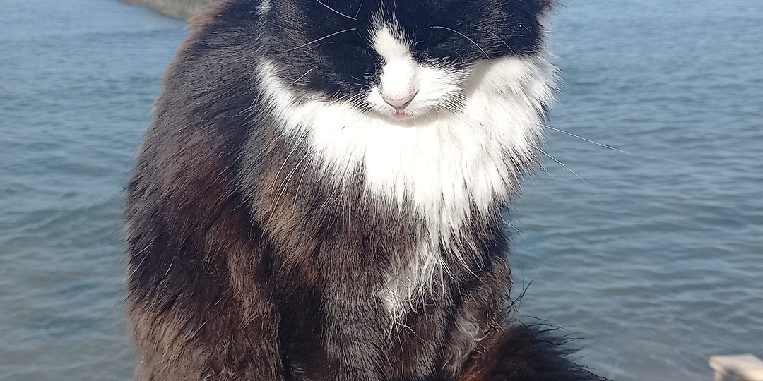 О том,как я неправильно прожила свою жизнь .