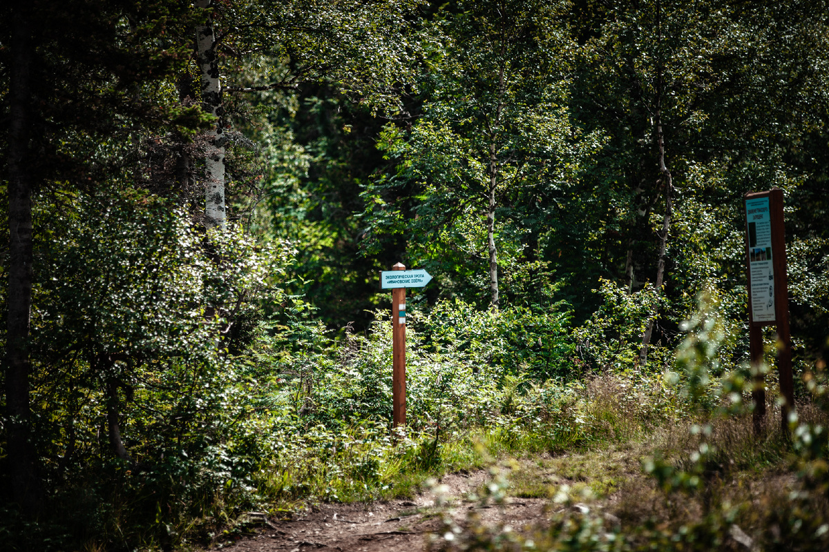 Заблудиться сложно - везде указатели