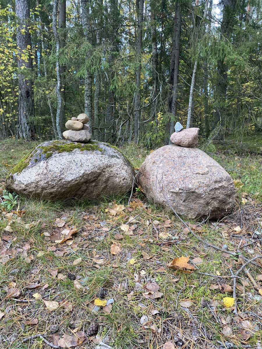 Мы на верном пути