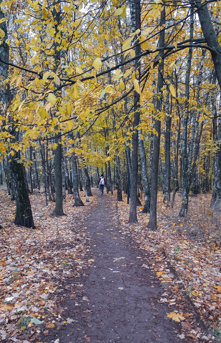 Люди натянули шапки, теплые куртки и ботинки, закончилось время туфель, маек и платьев.....холодища пришла