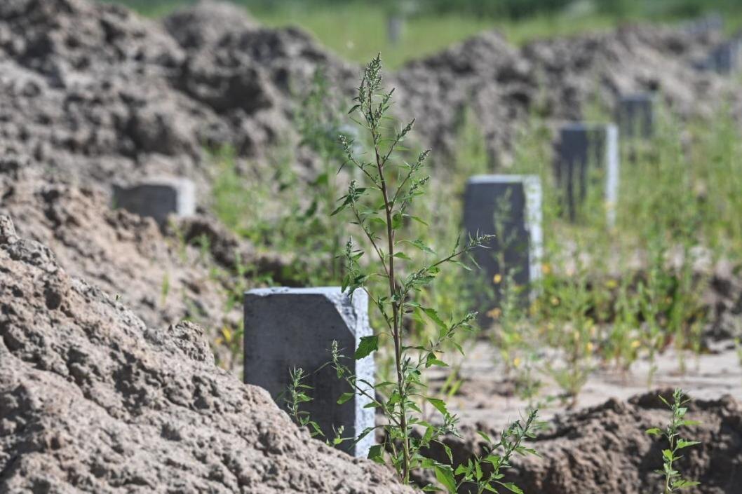 Фото: Сергей Елесин, ИА "Тюменская линия"