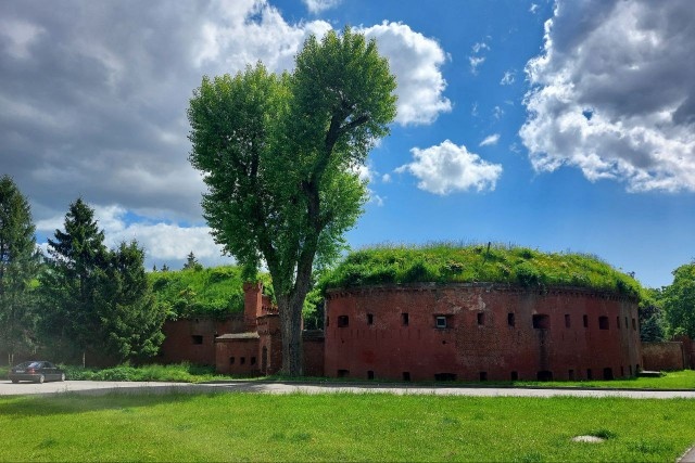   Фото из архива Калининград.Ru