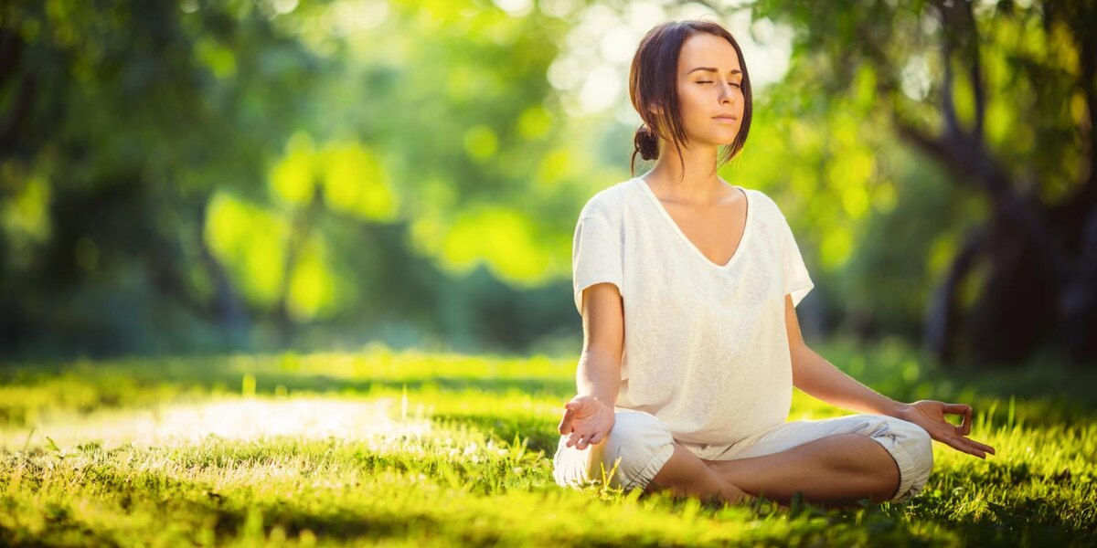 Изображение из сети Интернет