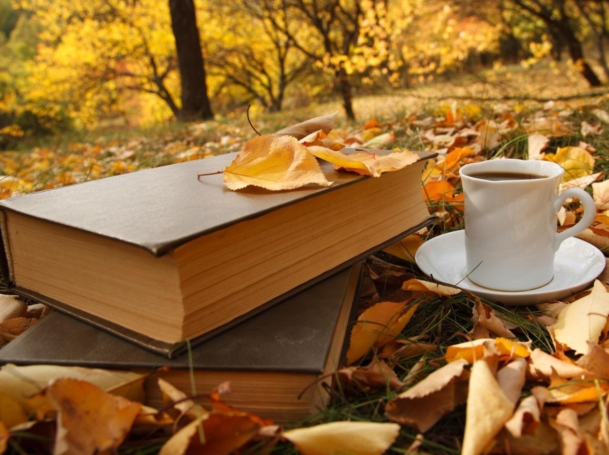 Изображение из сети Интернет