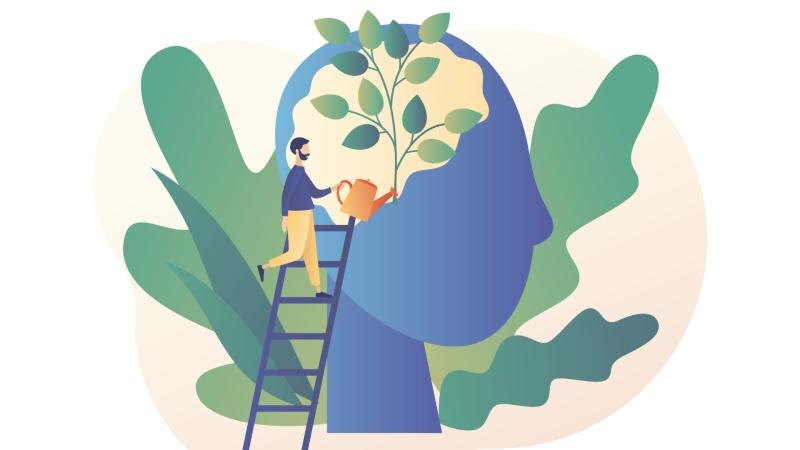 Изображение из сети Интернет