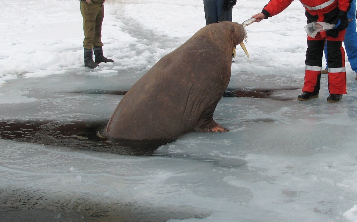 Фото: Vladislav Kadyshev / Globallookpress.com