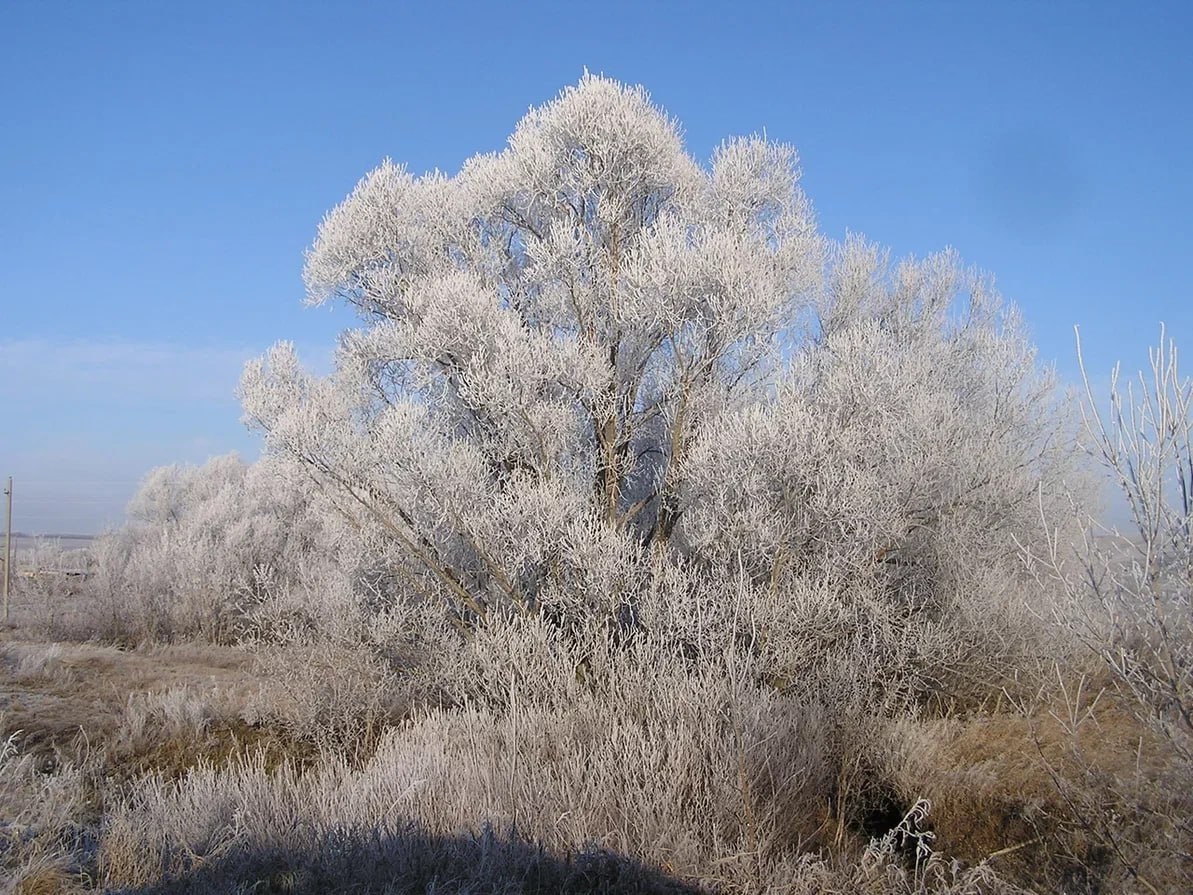 Ясных дней в ноябре в Оренбуржье наберется немного, но и дожди будут идти редко. Фото: ГУП "РИА "Оренбуржье".
