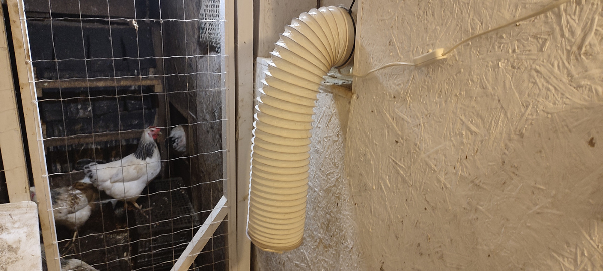 Всего в курятнике у меня три таких вентилятора