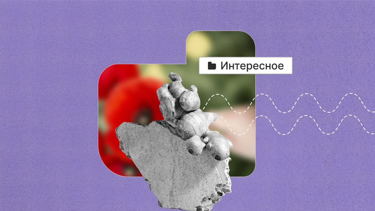 Травник — книга, содержащая описание лечебных растений и способов их применения.