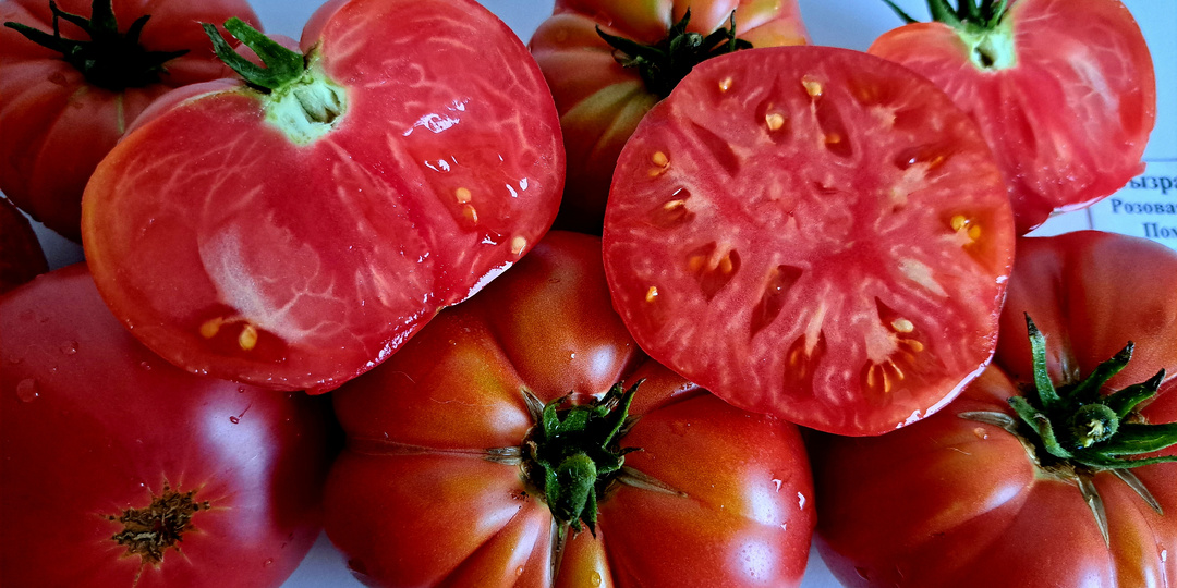 КАТАЛОГ томатов на 2025 г. ЗАКАЗ СЕМЯН