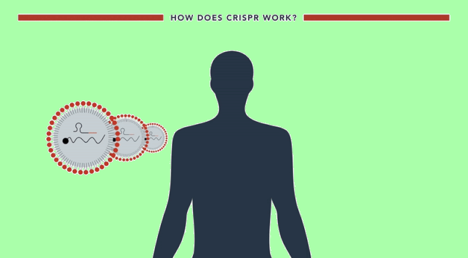   Intellia Therapeutics