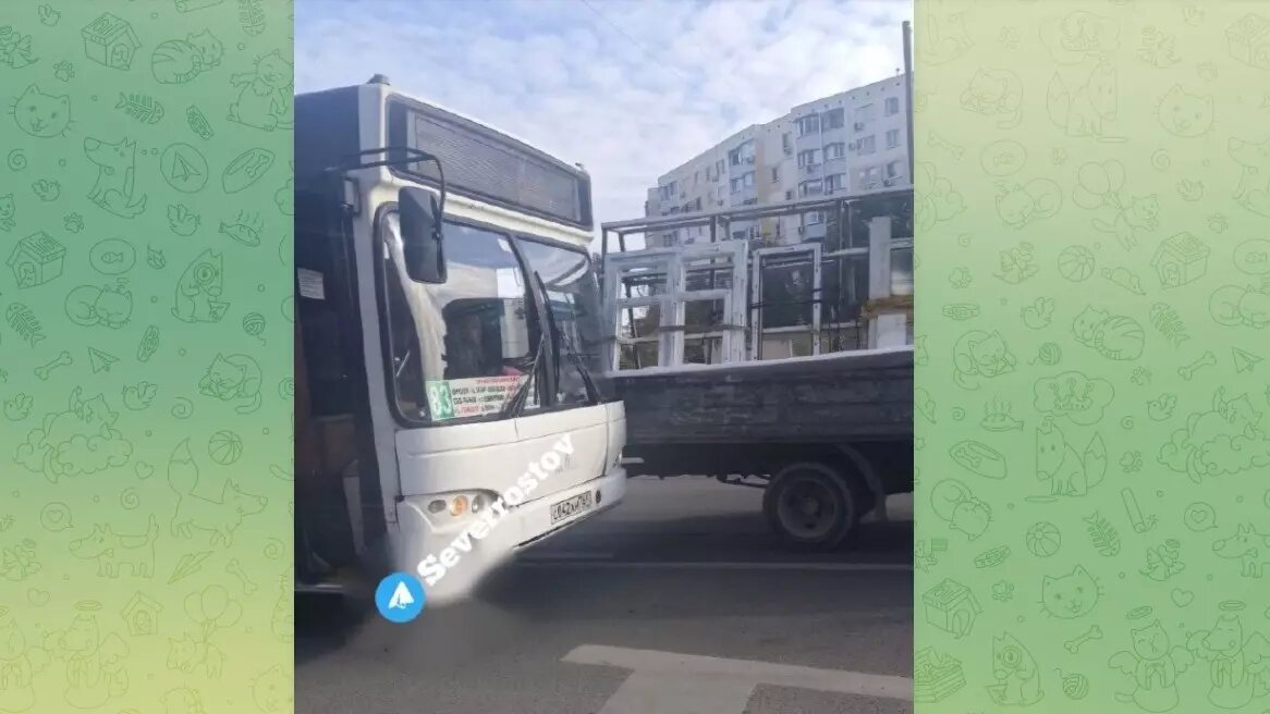     Автор: t.me/severrostov