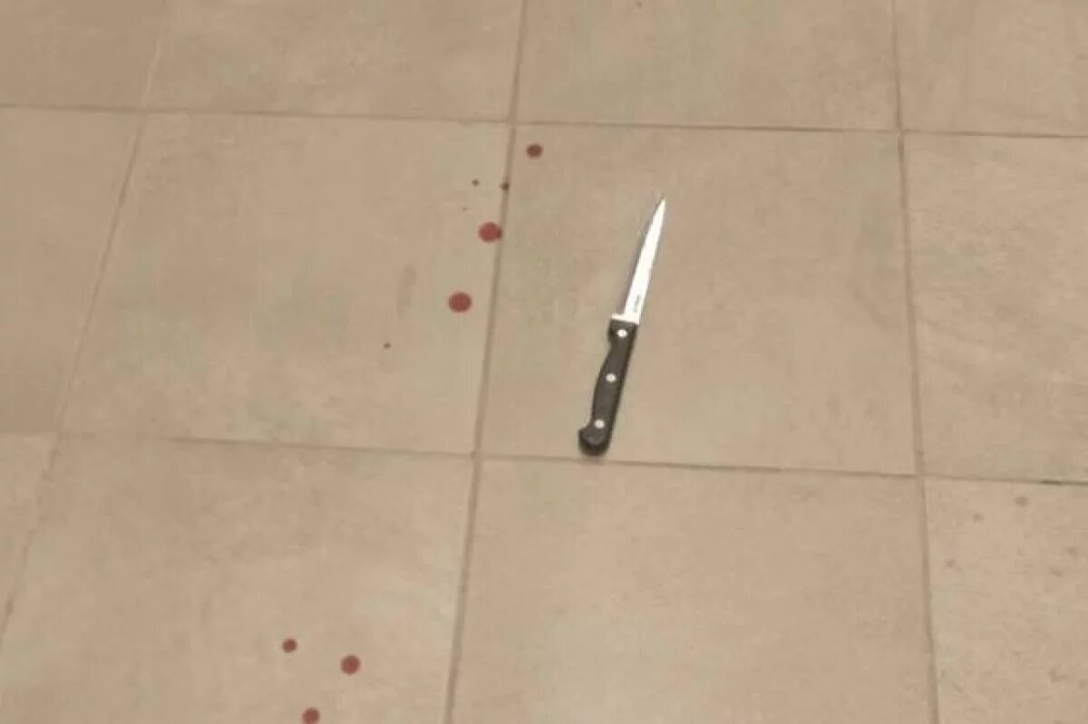    SHOT: напавший с ножом на людей в Петербурге состоял в украинских чатах