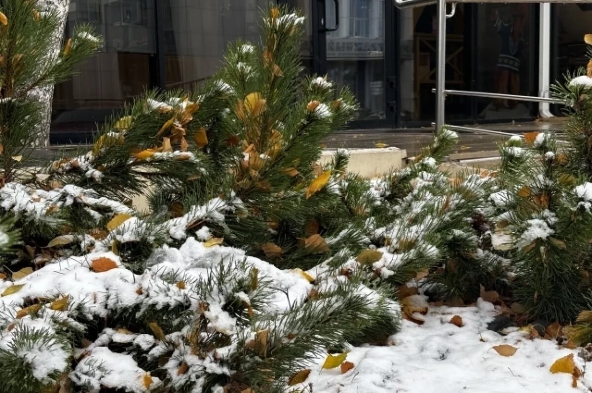    В ближайшие три дня в республике ожидаются осадки.