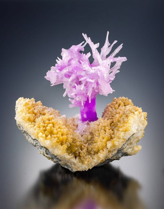 Источник фото: László Kupi