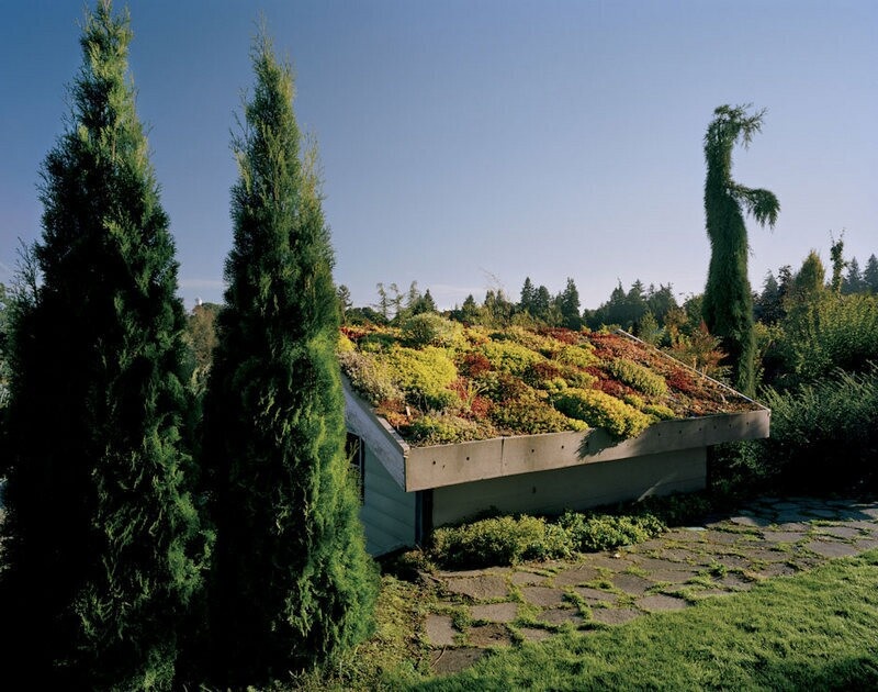    12 фото о том, как сады на крышах делают города красивее